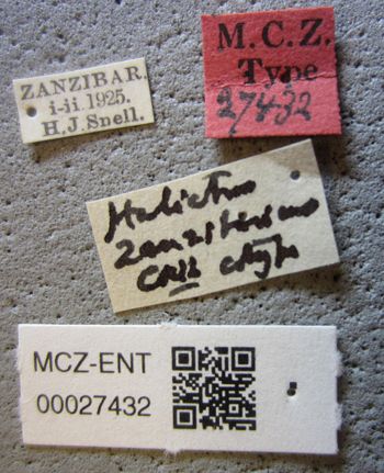Media type: image;   Entomology 27432 Aspect: labels